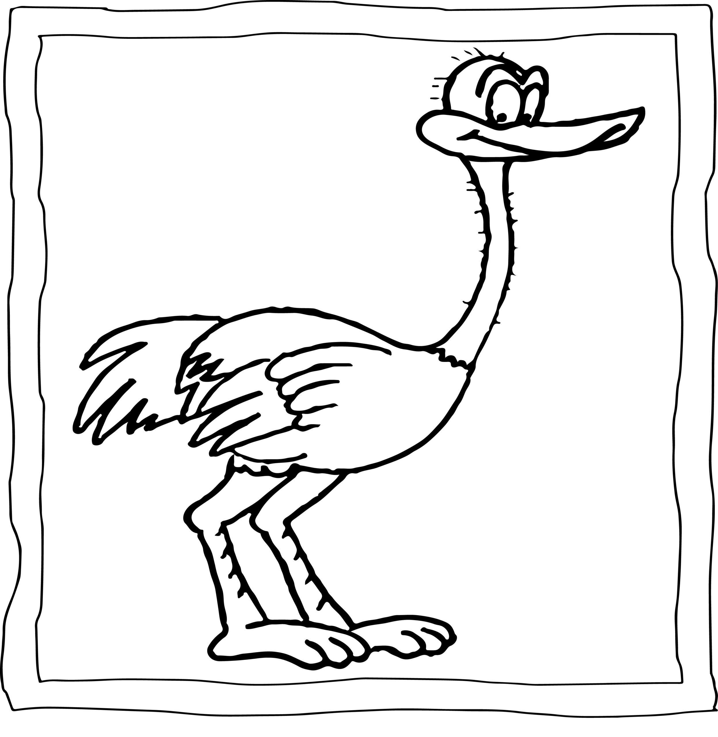 Ostrich coloring book easy and fun ostrich coloring pages for kids made by teachers