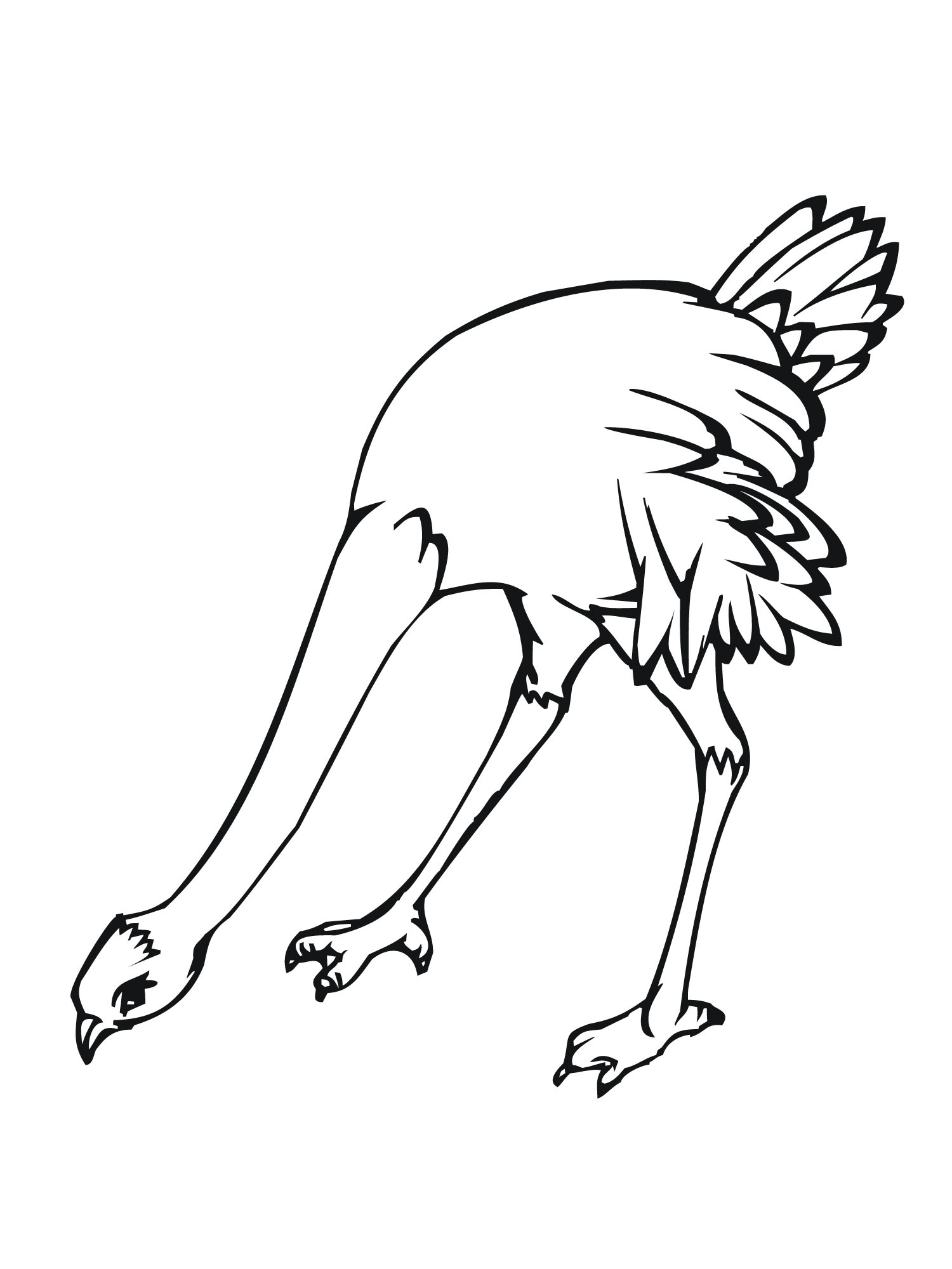 Free printable ostrich coloring pages for kids