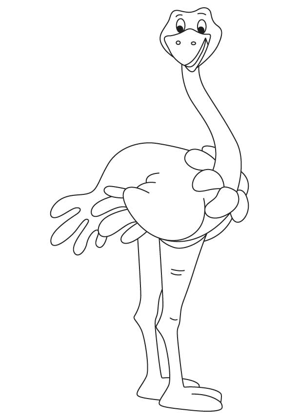 Somali ostrich coloring page download free somali ostrich coloring page for kids best coloring pages