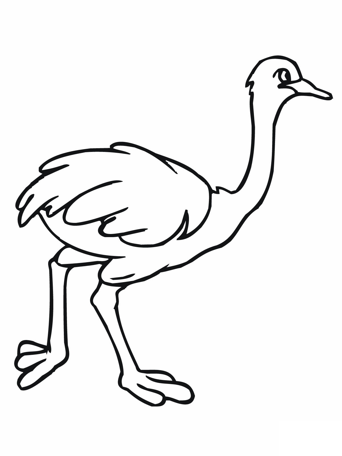 Free printable ostrich coloring pages for kids