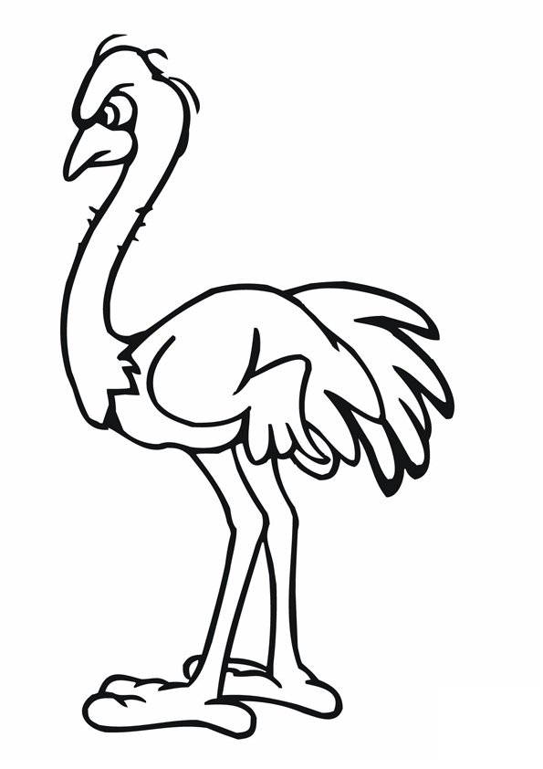 Coloring pages ostrich coloring pages for kids