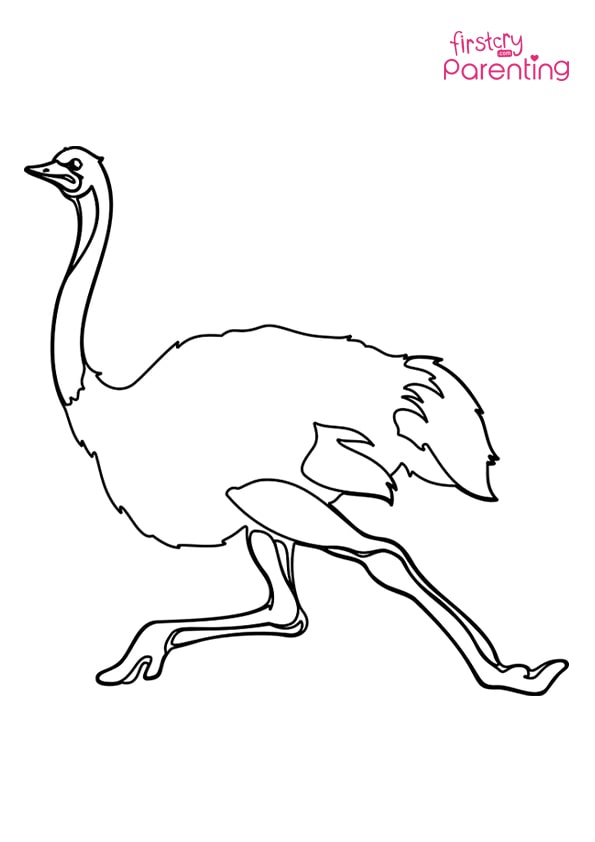 Easy printable ostrich coloring pages for kids