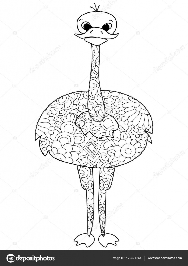 Mon ostrich coloring vector for adults bird stock vector by toricheksgmail