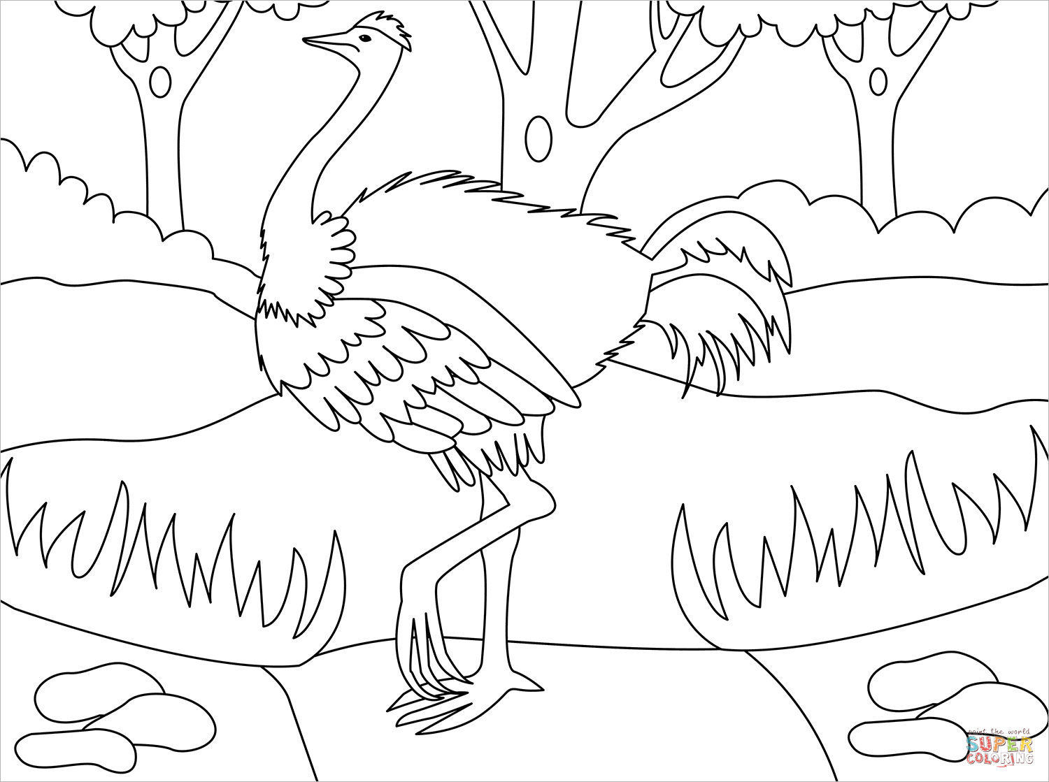 Ostrich coloring page free printable coloring pages