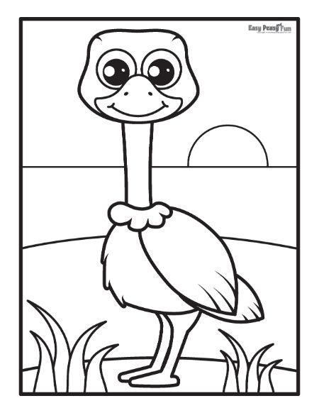 Printable bird coloring pages