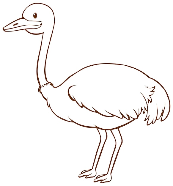 Ostrich coloring page vectors illustrations for free download