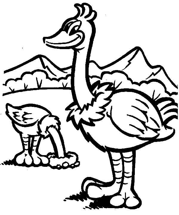 Ostrich coloring page