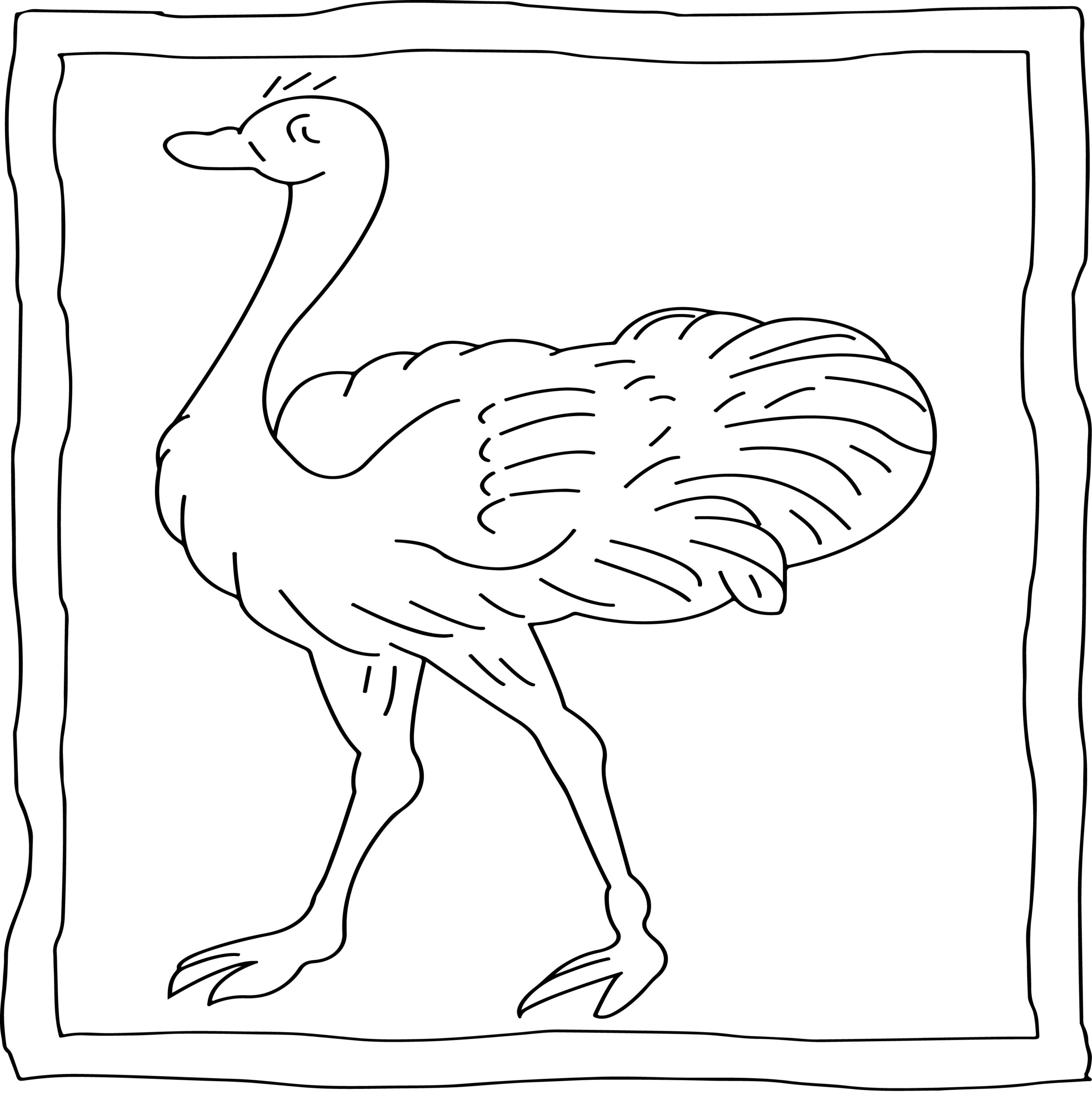 Ostrich coloring book easy and fun ostrich coloring pages for kids made by teachers