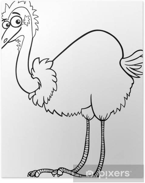 Poster emu ostrich cartoon coloring page