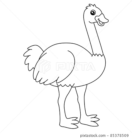 Ostrich coloring page isolated for kids