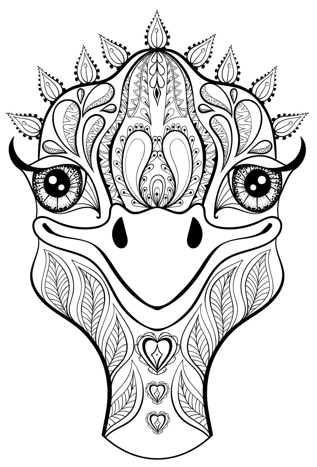 Ostrich coloring book