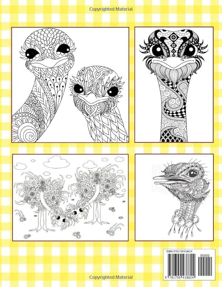 Ostrich coloring book collection of ostriches in doodle patterns to color mintz rachel books