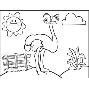 Happy ostrich coloring page