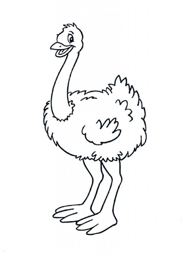 Coloring pages baby ostrich coloring pages for kids