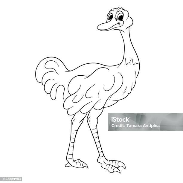 Animal character funny ostrich in line style coloring book stock illustration