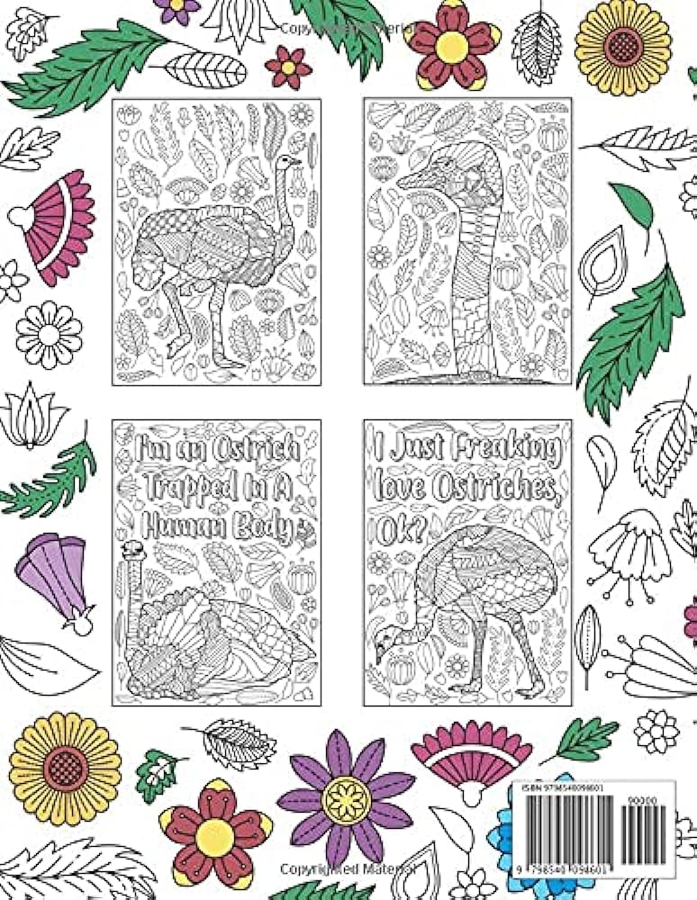 Ostrich coloring book a cute adult coloring books for ostrich lovers ostrich patterns mandala and painting gifts arts and crafts by