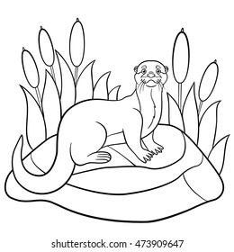 Coloring pages little cute otter stands stock vector royalty free