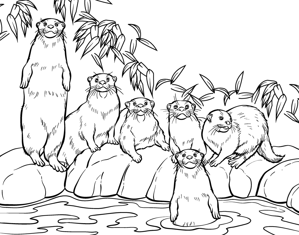 Otter coloring pages printable for free download