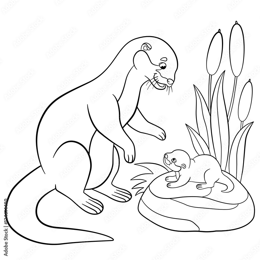 Coloring pages mother otter looks at her cute baby vector