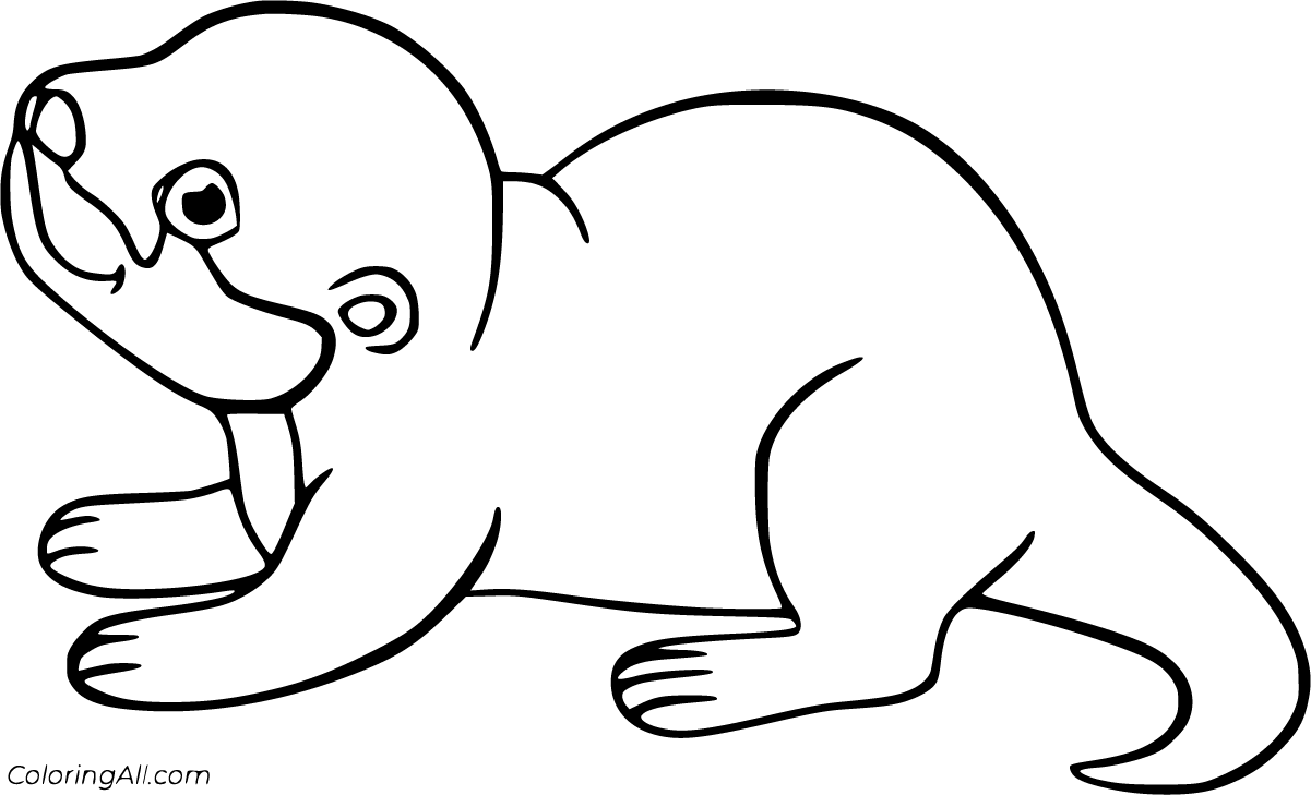 Otter coloring pages