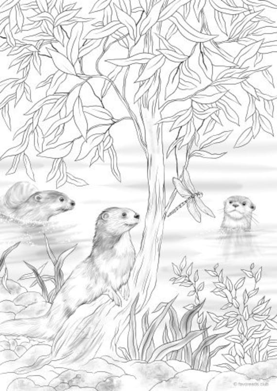 Otters printable adult coloring page from favoreads coloring book pages for adults and kids coloring sheets colouring designs download now