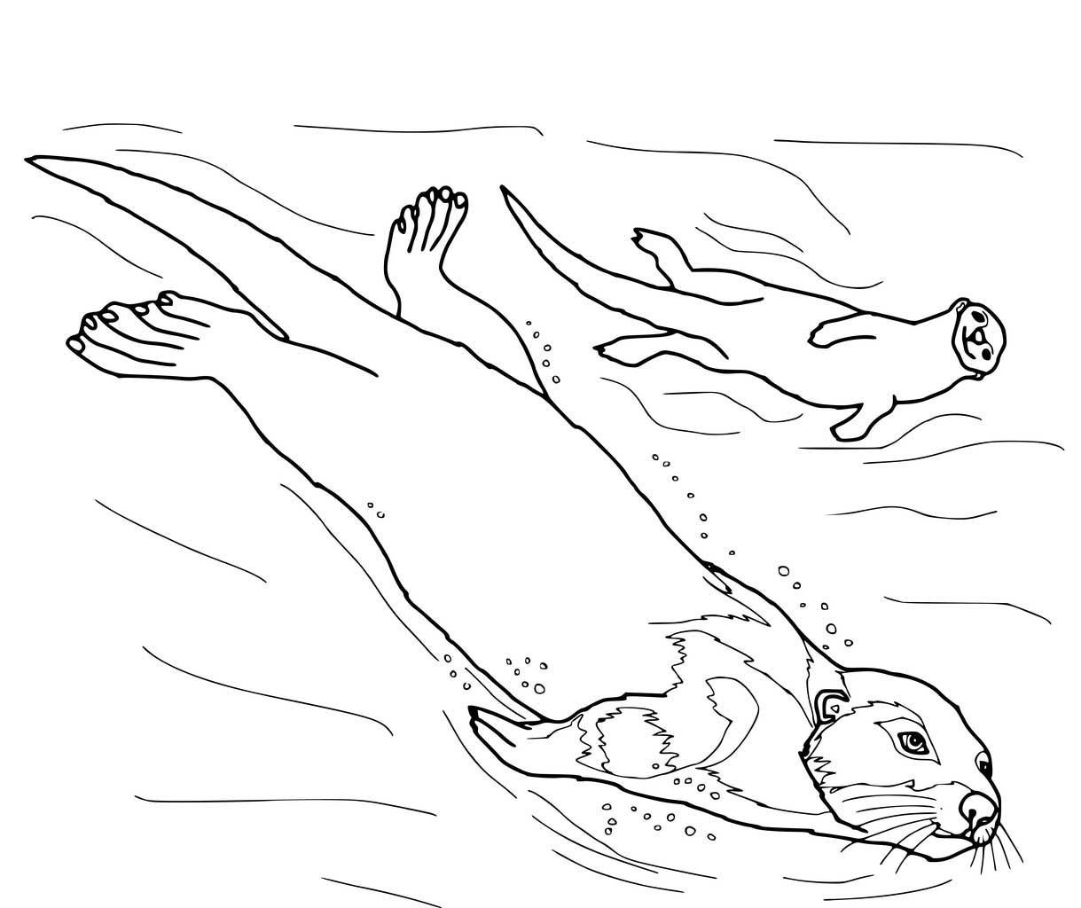 Otter coloring pages printable for free download