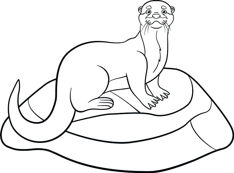 Otter coloring pages