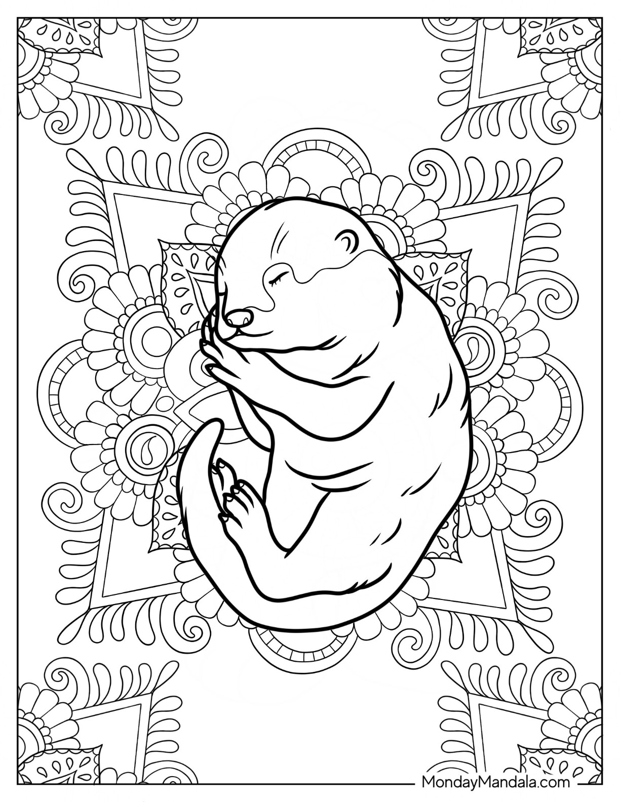 Otter coloring pages free pdf printables