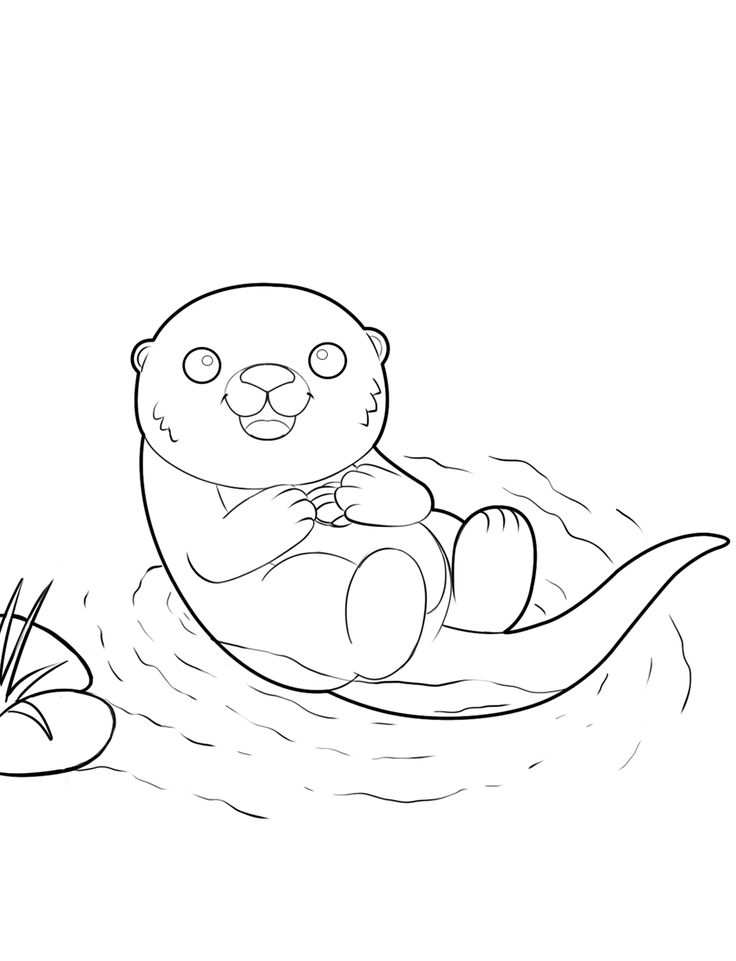 Free printable otter coloring pages pdf