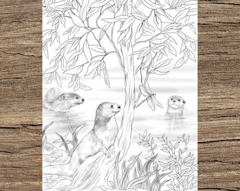 Otters printable adult coloring page from favoreads coloring book pages for adults and kids coloring sheets colouring designs download now