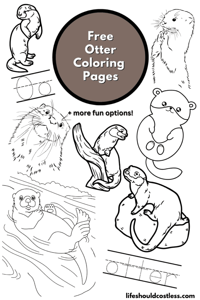 Otter coloring pages free printable pdf templates