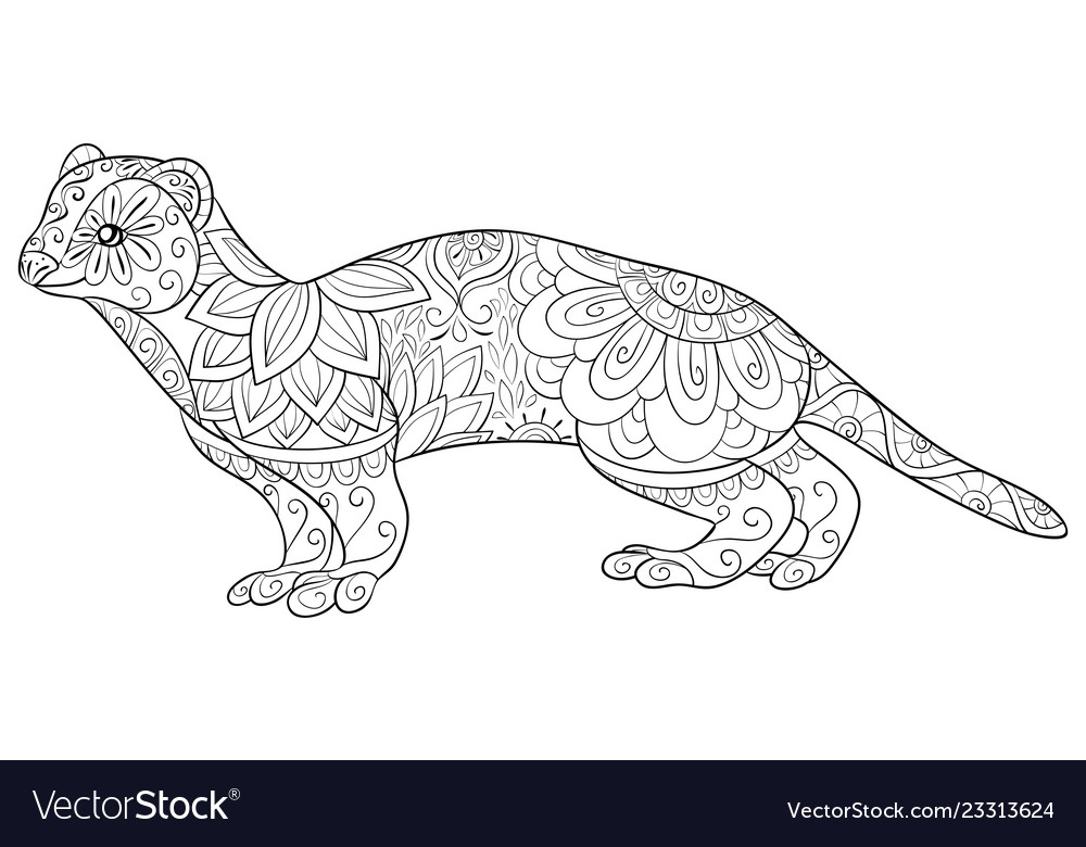 Adult coloring bookpage a cute otter image vector image