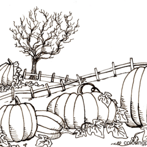 Pumpkin coloring pages printable for free download