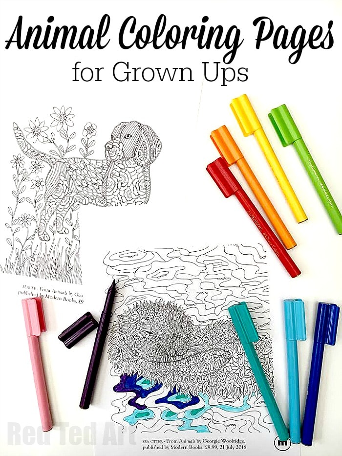 Animal coloring pages for grown ups