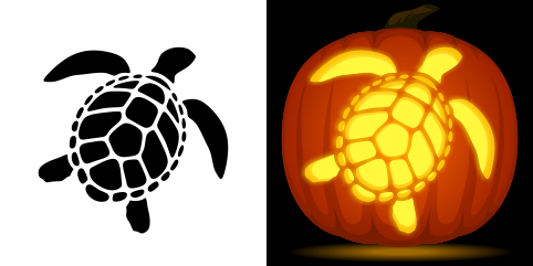 Free sea turtle pumpkin stencil