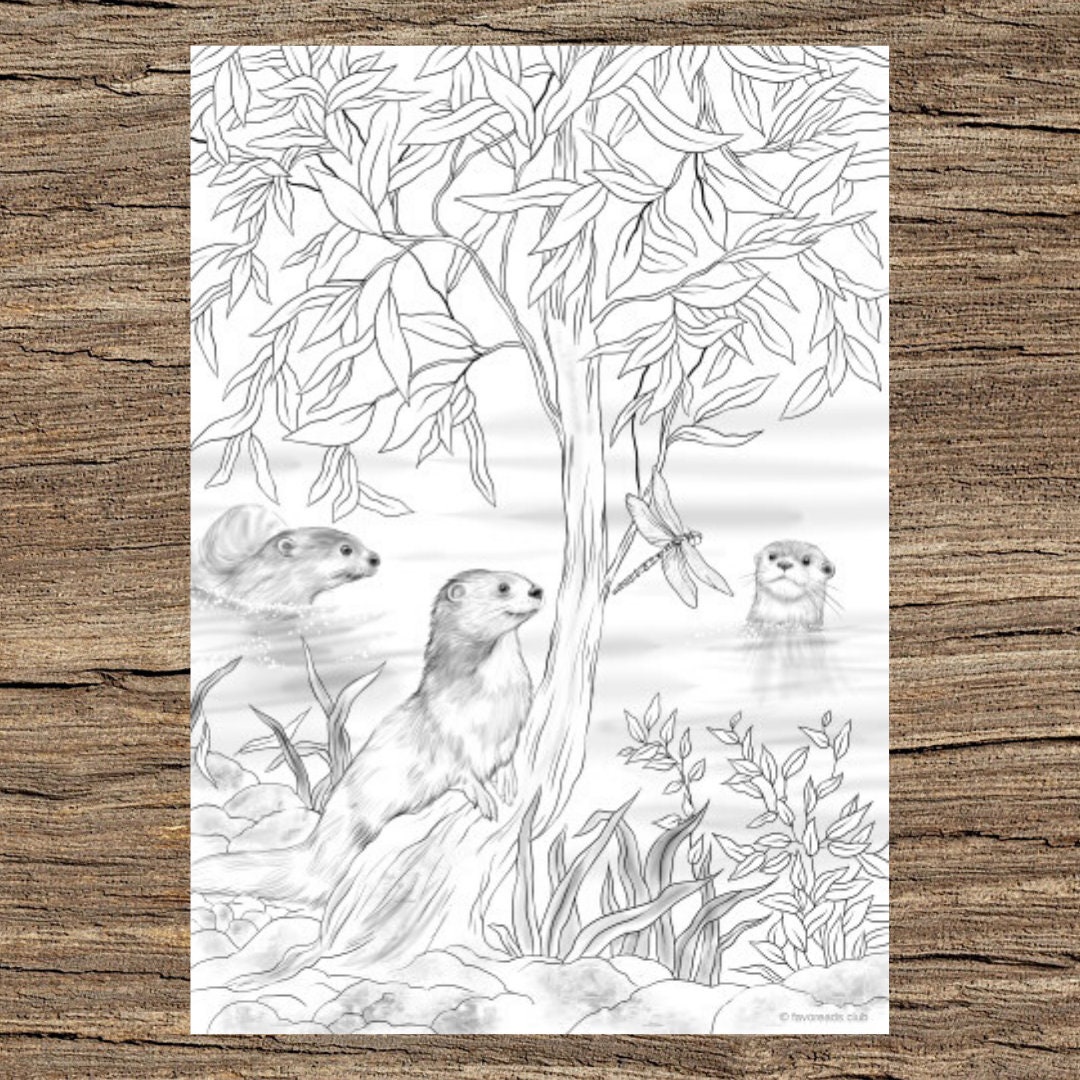 Otters printable adult coloring page from favoreads coloring book pages for adults and kids coloring sheets colouring designs download now