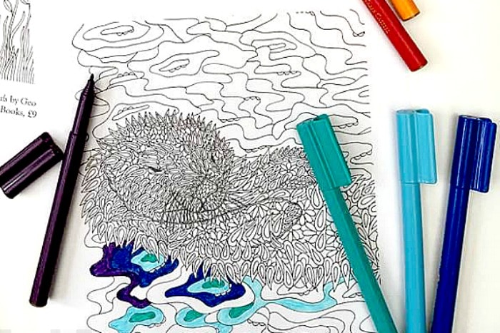 Animal coloring pages for grown ups