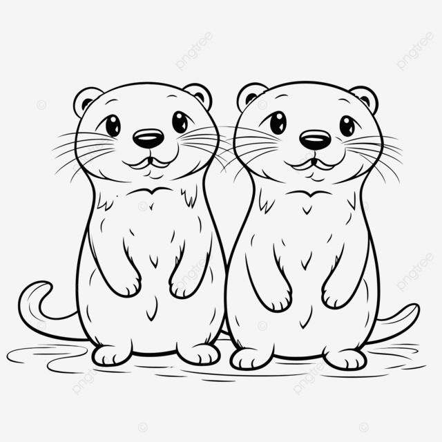 Otter couple with cute little face coloring page image outline sketch drawing vector cute otters drawing cute otters outline cute otters sketch png and vector with transparent background for free download