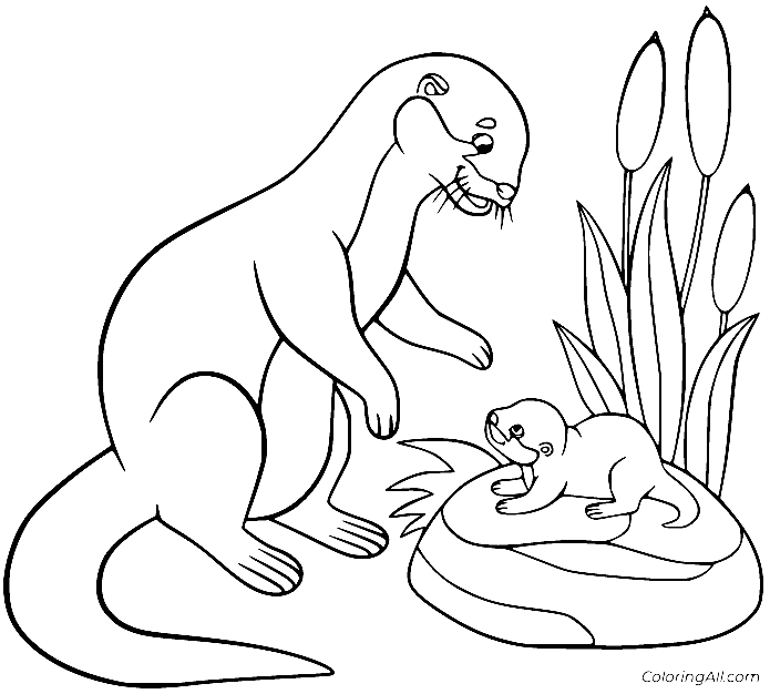 Otter coloring pages printable for free download