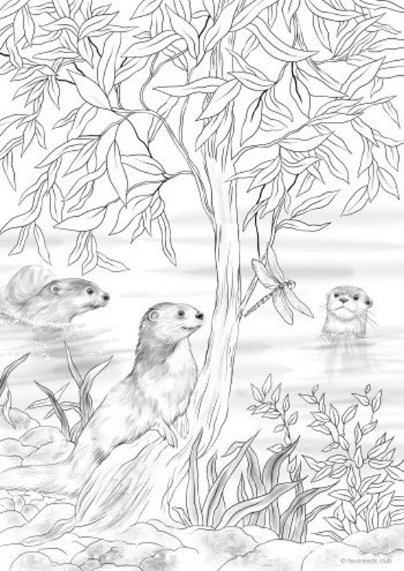 Otters printable adult coloring page from favoreads coloring book pages for adults and kids coloring sheets colouring designs download now