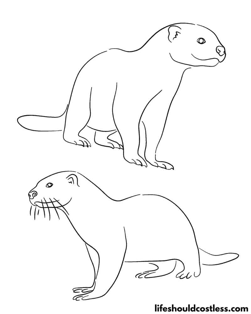 Otter coloring pages free printable pdf templates