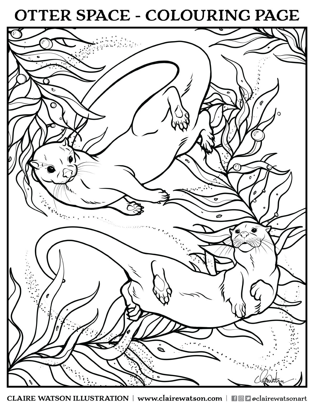 Colouring pages â blog â claire victoria illustration and design