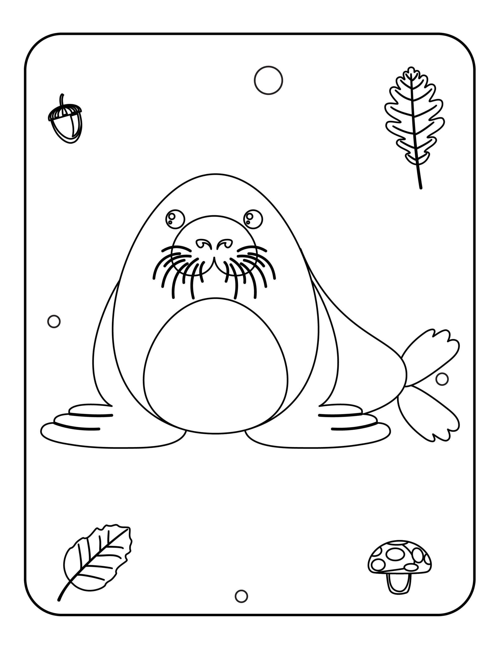 Woodland animals coloring pages