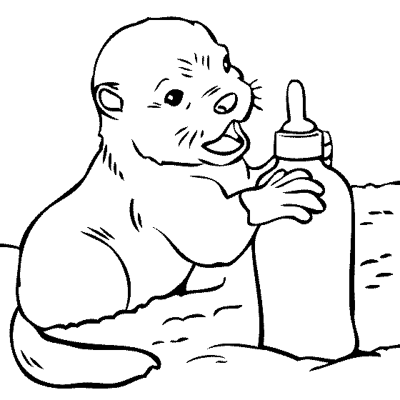 Otter coloring pages