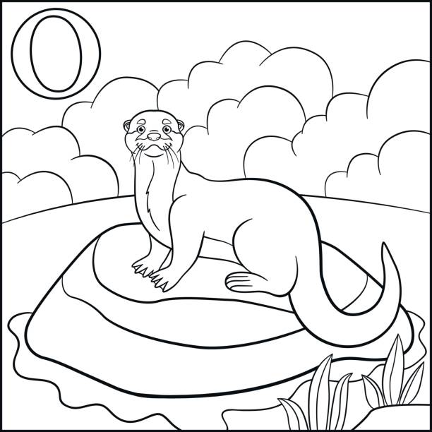 Coloring book otter stock illustrations royalty