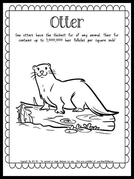 Otter coloring page with fun fact free printable download â the art kit