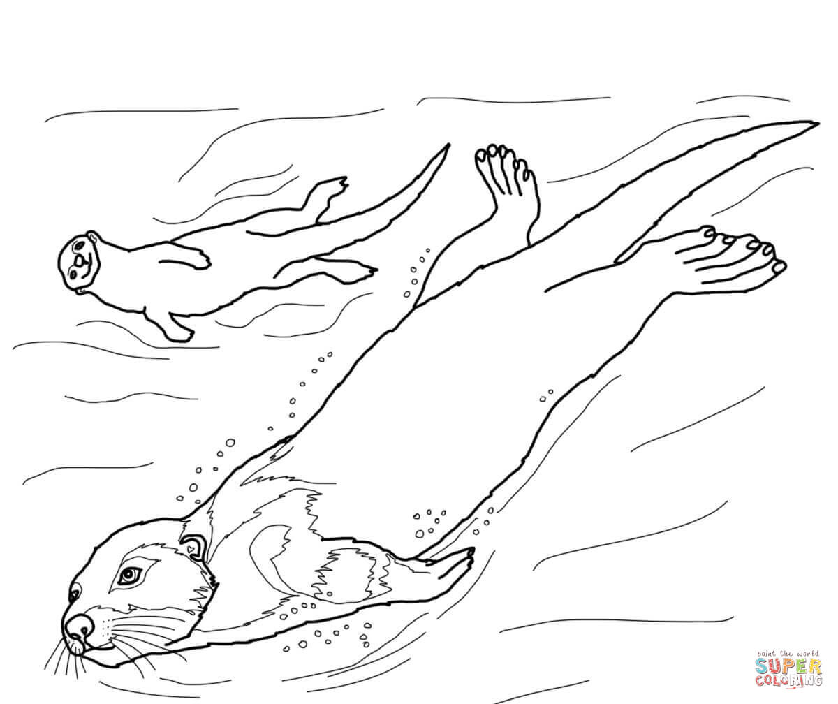 Sea otter coloring page free printable coloring pages