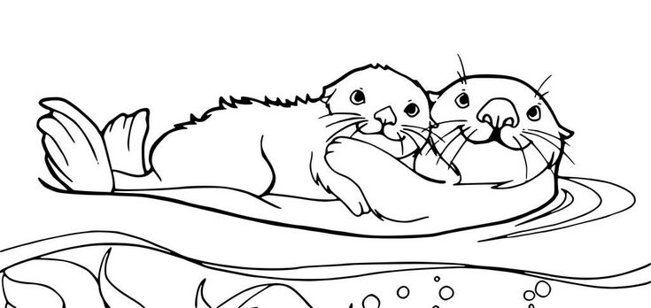 Otter coloring pages