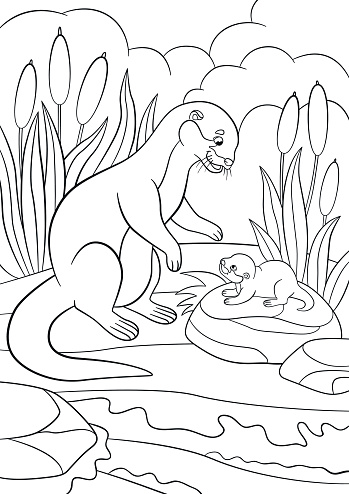 Coloring pages mother otter looks at her cute baby stock vector royalty