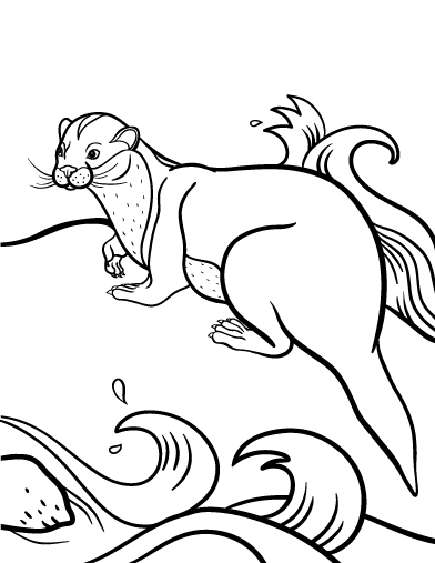 Free otter coloring page